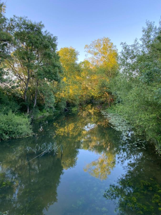 Studio Indre Climatise, La Halte De Cuze, Aux Abords De La Loire A Velo Huismes Εξωτερικό φωτογραφία