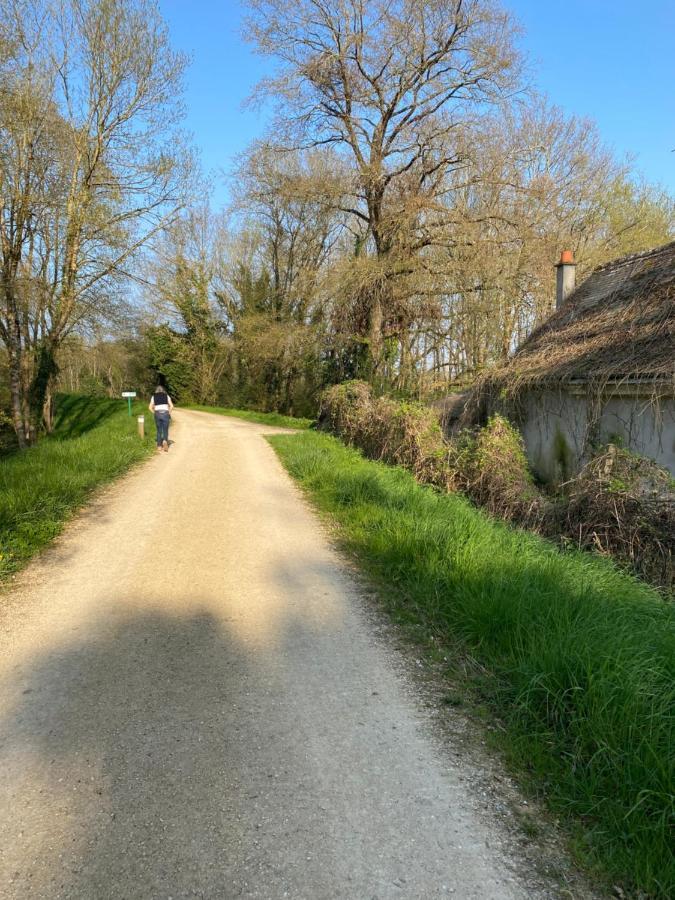 Studio Indre Climatise, La Halte De Cuze, Aux Abords De La Loire A Velo Huismes Εξωτερικό φωτογραφία