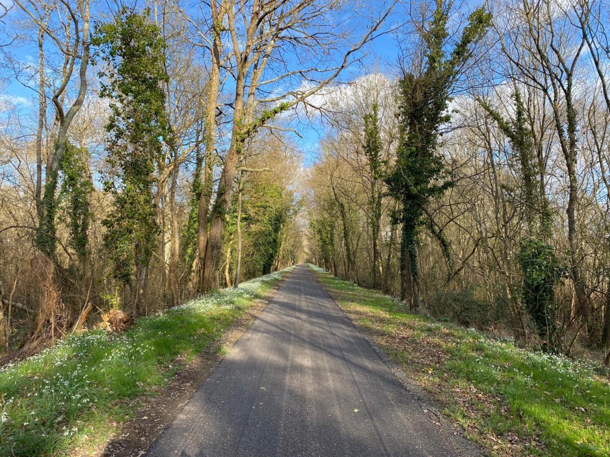 Studio Indre Climatise, La Halte De Cuze, Aux Abords De La Loire A Velo Huismes Εξωτερικό φωτογραφία